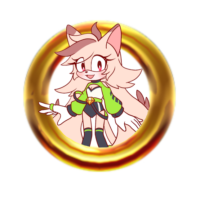 Rowdi The Siamese Cat