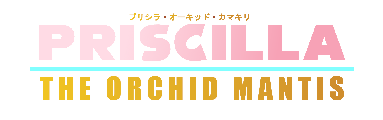 Priscilla The Orchid Mantis