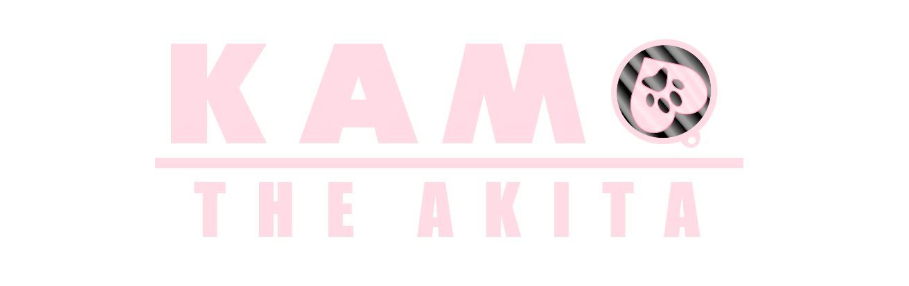 Kama The Akita
